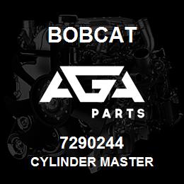 7290244 Bobcat CYLINDER MASTER | AGA Parts