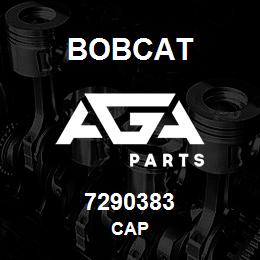 7290383 Bobcat CAP | AGA Parts