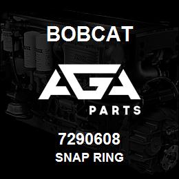 7290608 Bobcat SNAP RING | AGA Parts