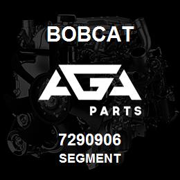 7290906 Bobcat SEGMENT | AGA Parts