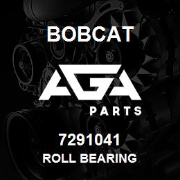 7291041 Bobcat ROLL BEARING | AGA Parts