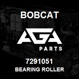 7291051 Bobcat BEARING ROLLER | AGA Parts