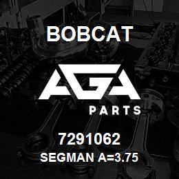 7291062 Bobcat SEGMAN A=3.75 | AGA Parts