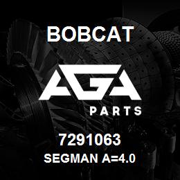 7291063 Bobcat SEGMAN A=4.0 | AGA Parts