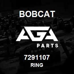 7291107 Bobcat RING | AGA Parts