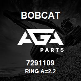 7291109 Bobcat RING A=2.2 | AGA Parts