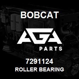 7291124 Bobcat ROLLER BEARING | AGA Parts