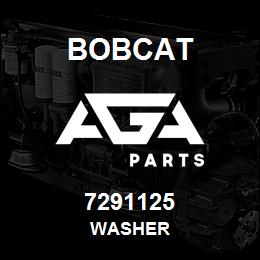 7291125 Bobcat WASHER | AGA Parts