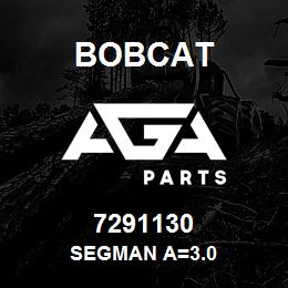 7291130 Bobcat SEGMAN A=3.0 | AGA Parts