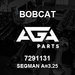 7291131 Bobcat SEGMAN A=3.25 | AGA Parts