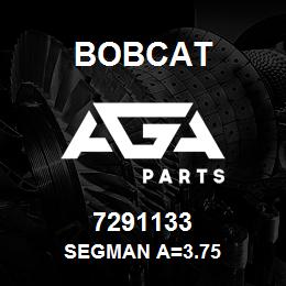 7291133 Bobcat SEGMAN A=3.75 | AGA Parts