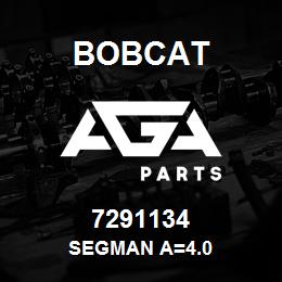 7291134 Bobcat SEGMAN A=4.0 | AGA Parts