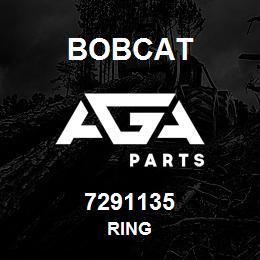 7291135 Bobcat RING | AGA Parts