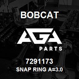 7291173 Bobcat SNAP RING A=3.0 | AGA Parts