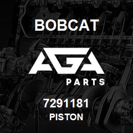 7291181 Bobcat PISTON | AGA Parts