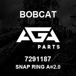 7291187 Bobcat SNAP RING A=2.0 | AGA Parts