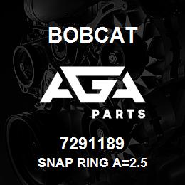 7291189 Bobcat SNAP RING A=2.5 | AGA Parts