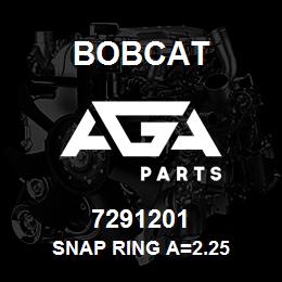 7291201 Bobcat SNAP RING A=2.25 | AGA Parts