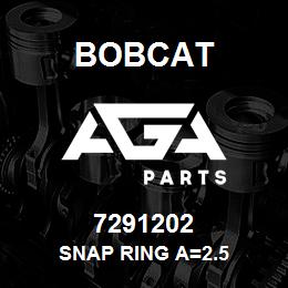 7291202 Bobcat SNAP RING A=2.5 | AGA Parts