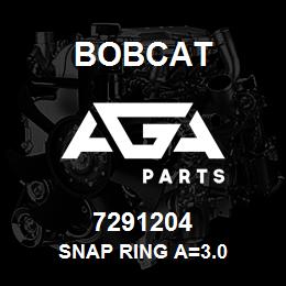 7291204 Bobcat SNAP RING A=3.0 | AGA Parts