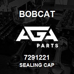 7291221 Bobcat SEALING CAP | AGA Parts