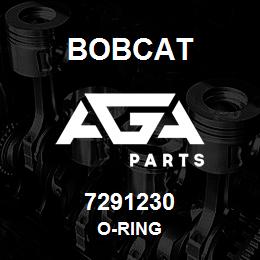 7291230 Bobcat O-RING | AGA Parts