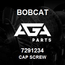 7291234 Bobcat CAP SCREW | AGA Parts