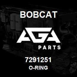 7291251 Bobcat O-RING | AGA Parts