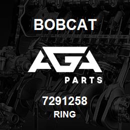 7291258 Bobcat RING | AGA Parts