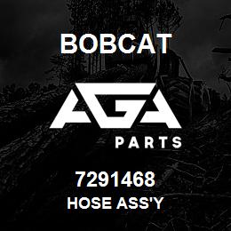 7291468 Bobcat HOSE ASS'Y | AGA Parts