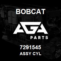 7291545 Bobcat ASSY CYL | AGA Parts