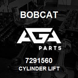 7291560 Bobcat CYLINDER LIFT | AGA Parts