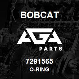 7291565 Bobcat O-RING | AGA Parts