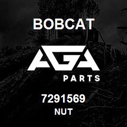 7291569 Bobcat NUT | AGA Parts