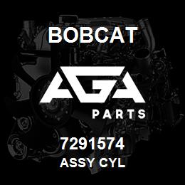 7291574 Bobcat ASSY CYL | AGA Parts