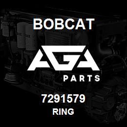 7291579 Bobcat RING | AGA Parts