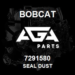 7291580 Bobcat SEAL DUST | AGA Parts