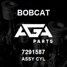 7291587 Bobcat ASSY CYL | AGA Parts