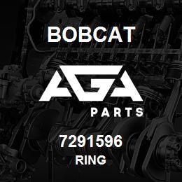 7291596 Bobcat RING | AGA Parts