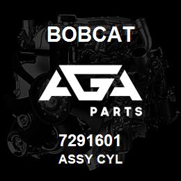 7291601 Bobcat ASSY CYL | AGA Parts