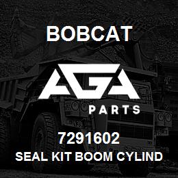 7291602 Bobcat SEAL KIT BOOM CYLINDER | AGA Parts