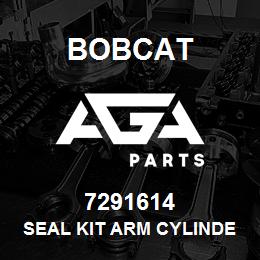 7291614 Bobcat SEAL KIT ARM CYLINDER | AGA Parts