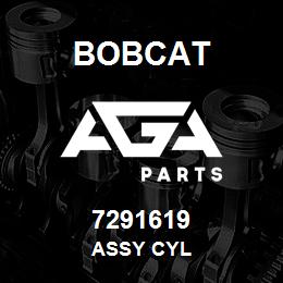 7291619 Bobcat ASSY CYL | AGA Parts