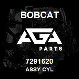 7291620 Bobcat ASSY CYL | AGA Parts