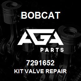 7291652 Bobcat KIT VALVE REPAIR | AGA Parts