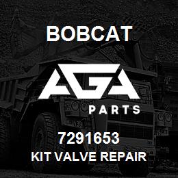 7291653 Bobcat KIT VALVE REPAIR | AGA Parts