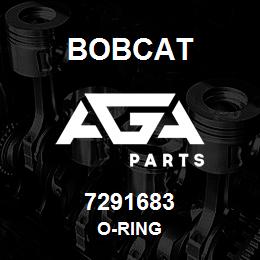 7291683 Bobcat O-RING | AGA Parts