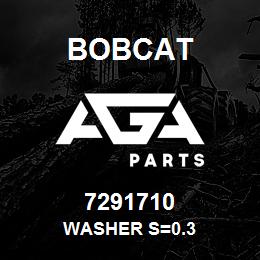 7291710 Bobcat WASHER S=0.3 | AGA Parts