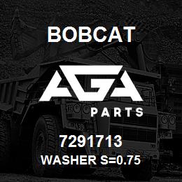 7291713 Bobcat WASHER S=0.75 | AGA Parts