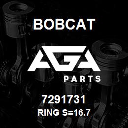 7291731 Bobcat RING S=16.7 | AGA Parts